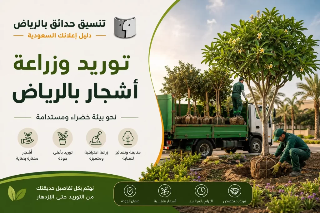 توريد وزراعة أشجار بالرياض لإنشاء مساحات خضراء أكثر جمالًا